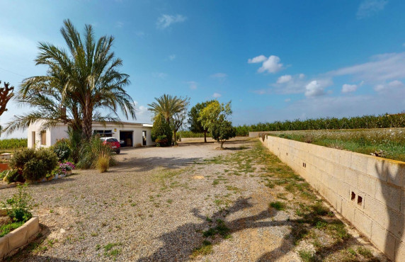 For Sale -  - Albatera - Partida del Moco