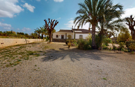 For Sale -  - Albatera - Partida del Moco