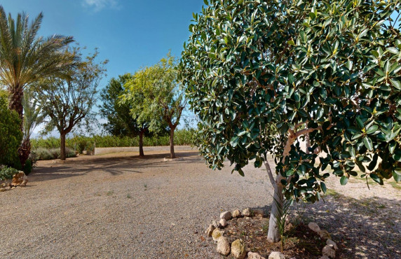 For Sale -  - Albatera - Partida del Moco