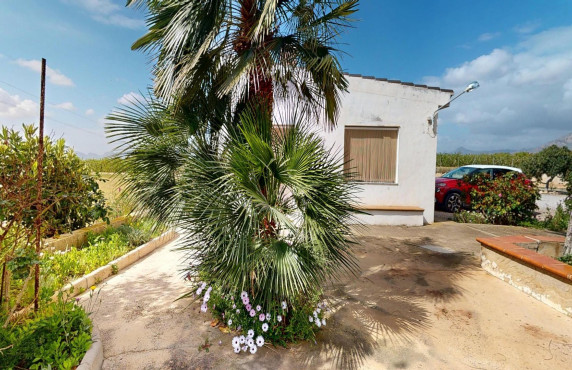 For Sale -  - Albatera - Partida del Moco