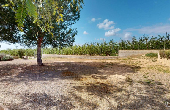 For Sale -  - Albatera - Partida del Moco