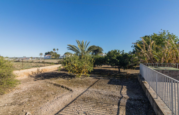 For Sale -  - Elche - Valverde