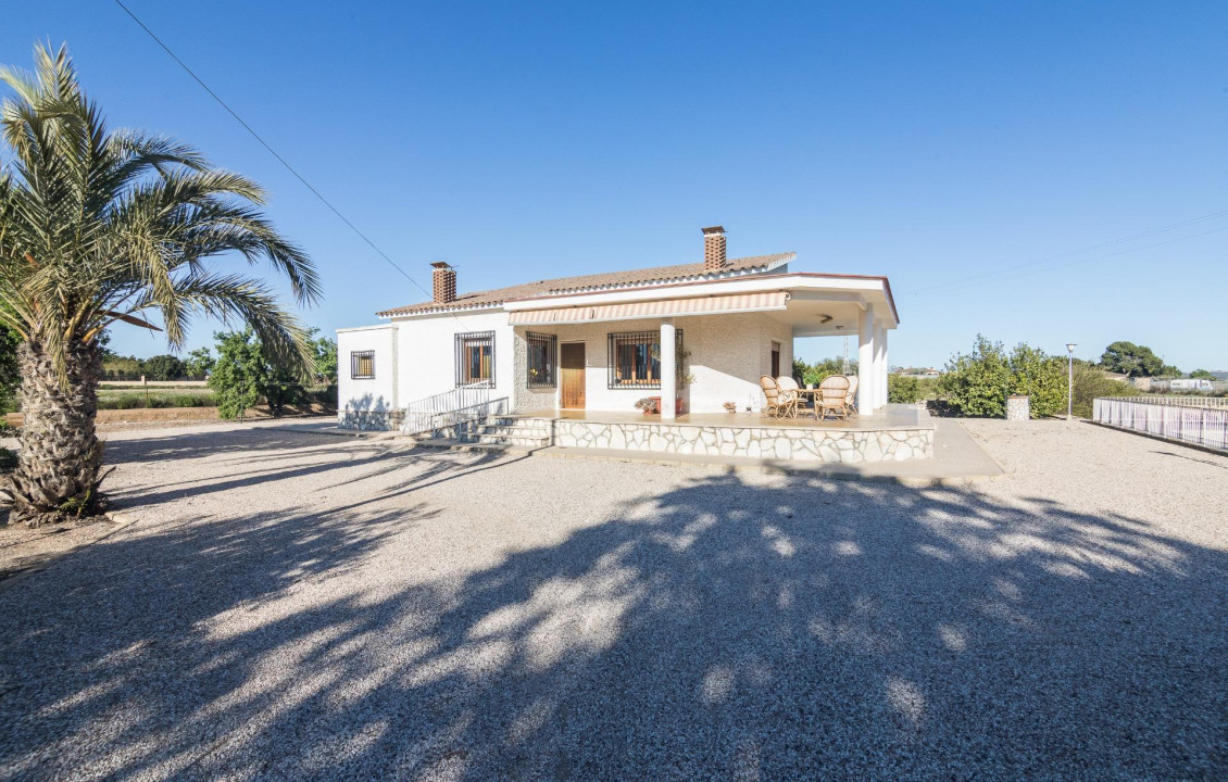 For Sale -  - Elche - Valverde