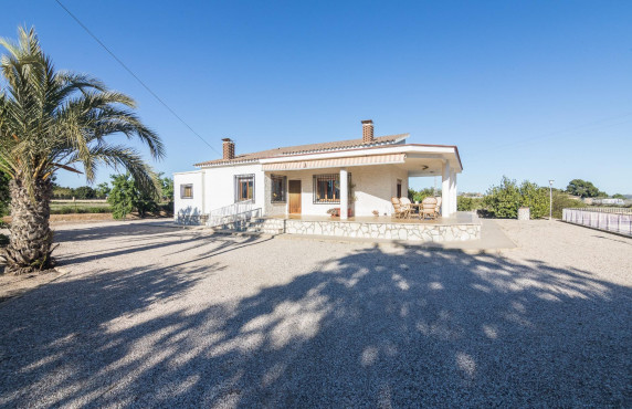 For Sale -  - Elche - Valverde