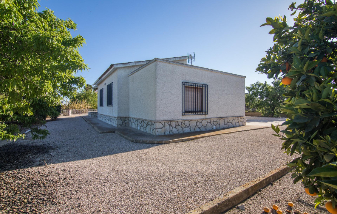 For Sale -  - Elche - Valverde