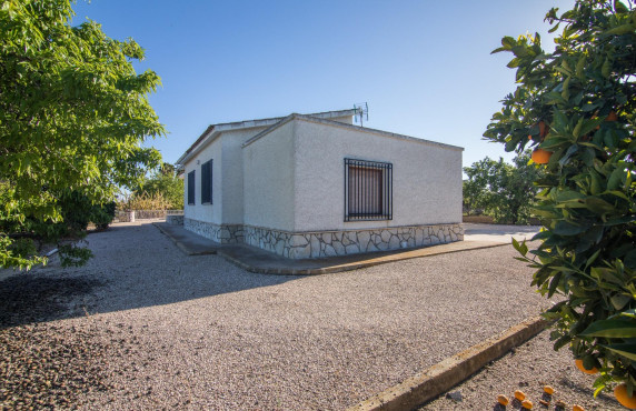 For Sale -  - Elche - Valverde