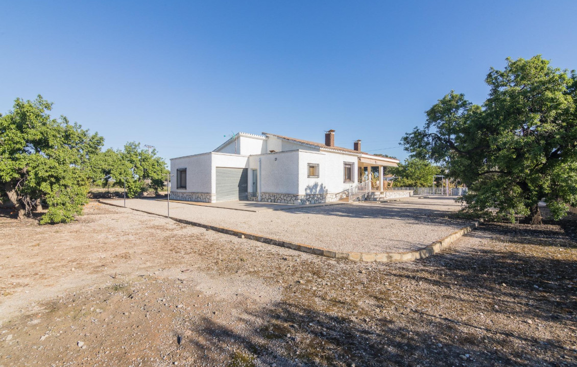 For Sale -  - Elche - Valverde