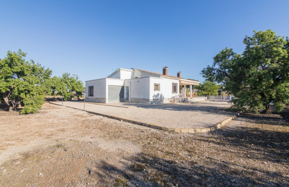 For Sale -  - Elche - Valverde