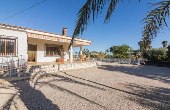 For Sale -  - Elche - Valverde