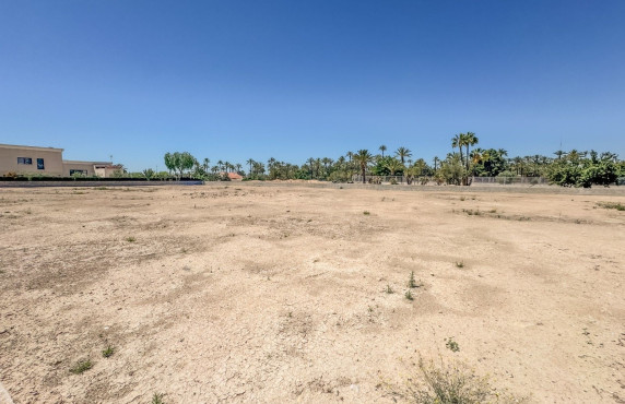 For Sale -  - Elche - Elche / Elx