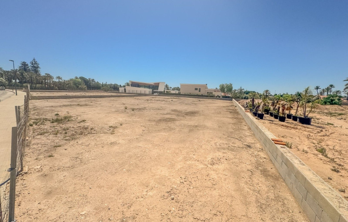 For Sale -  - Elche - Elche / Elx