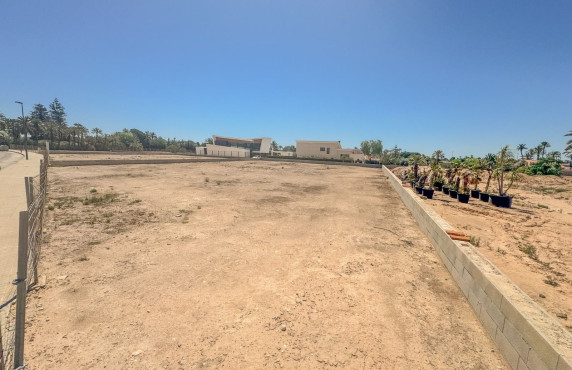 For Sale -  - Elche - Elche / Elx