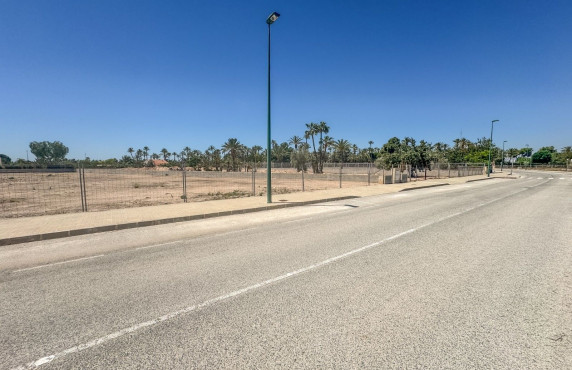 For Sale -  - Elche - Elche / Elx