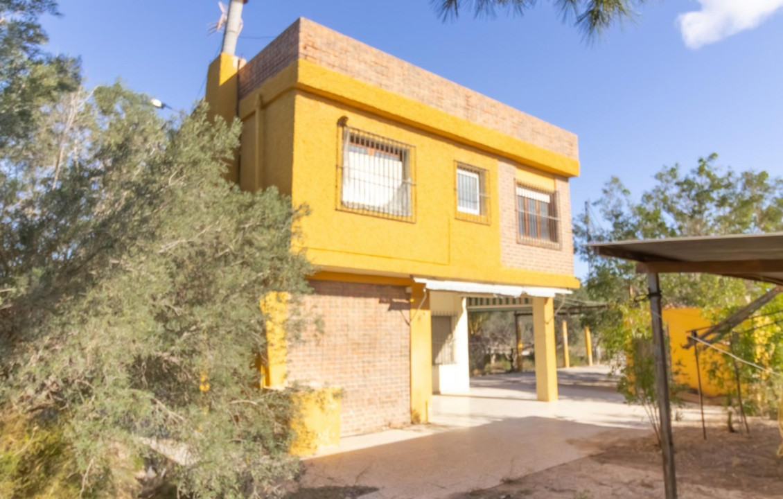 For Sale -  - Elche - Elche / Elx