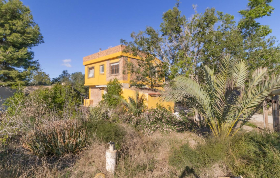 For Sale -  - Elche - Elche / Elx