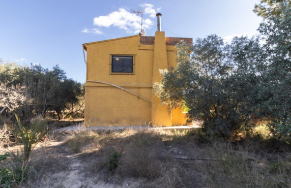 For Sale -  - Elche - Elche / Elx