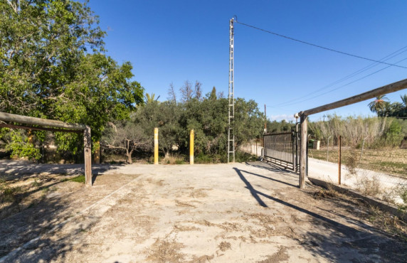 For Sale -  - Elche - Elche / Elx