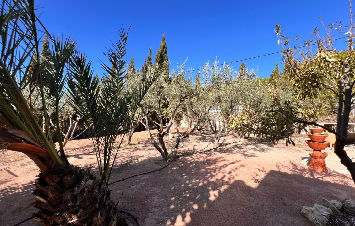 Venta - Chalet - Elche - Peña Aguilas