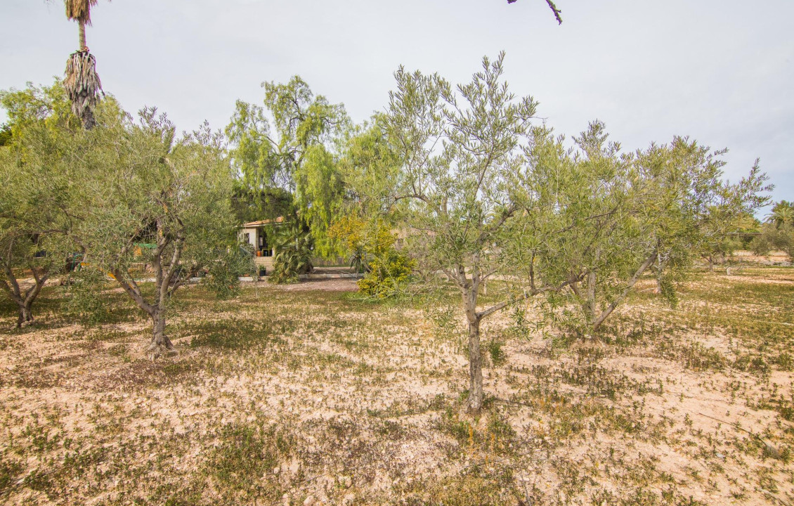 Venta - Casa de campo - Peña las aguilas - Peña Aguilas