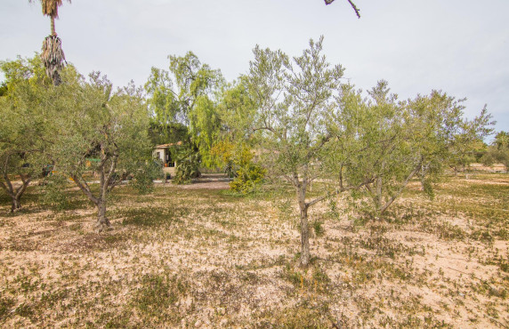 Venta - Casa de campo - Peña las aguilas - Peña Aguilas