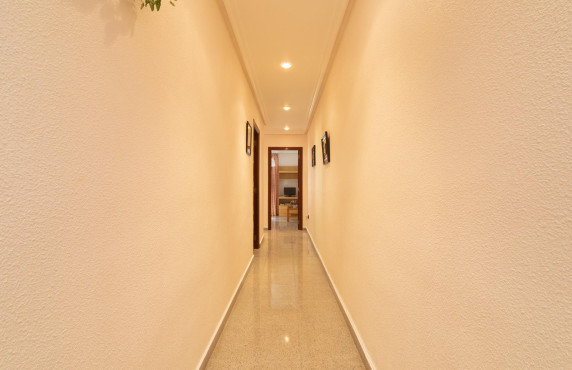 For Sale -  - Elche - Toscar