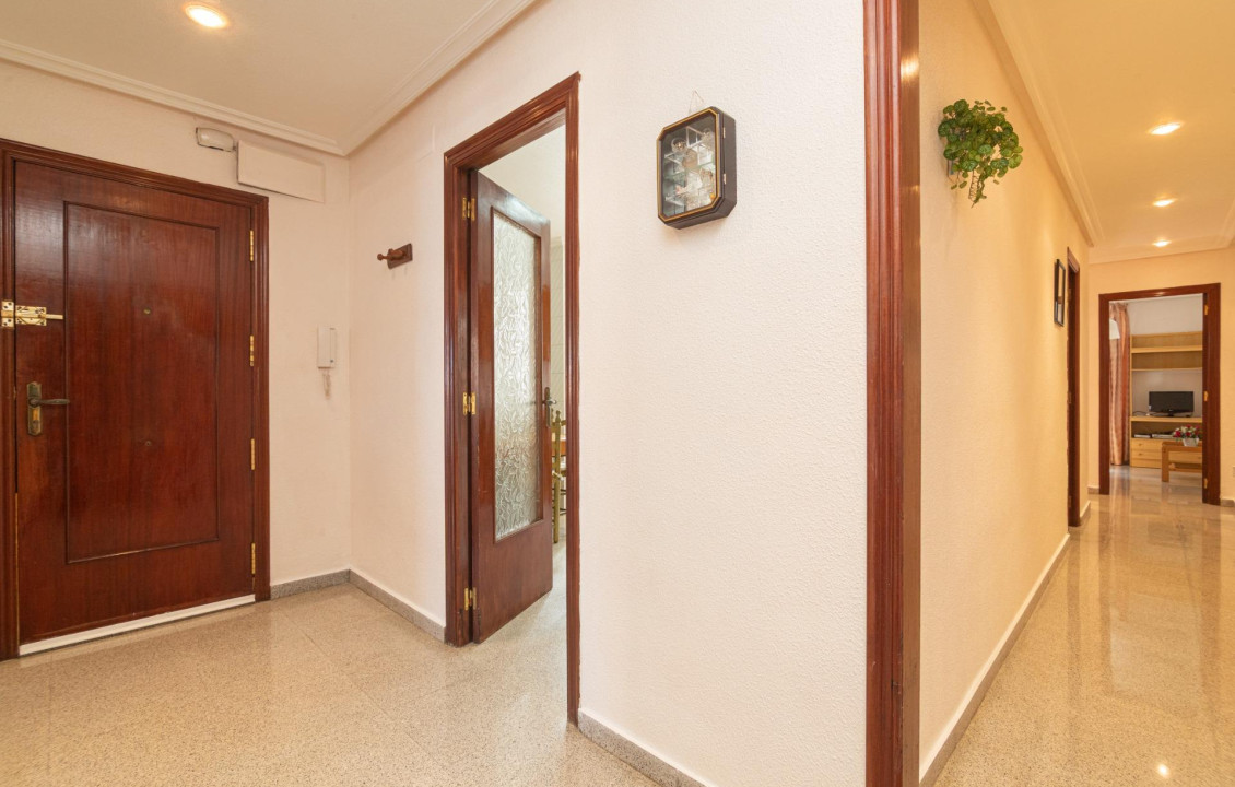 For Sale -  - Elche - Toscar