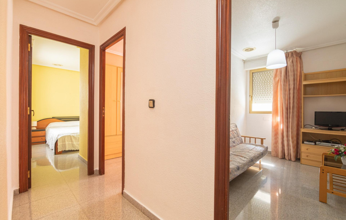 For Sale -  - Elche - Toscar