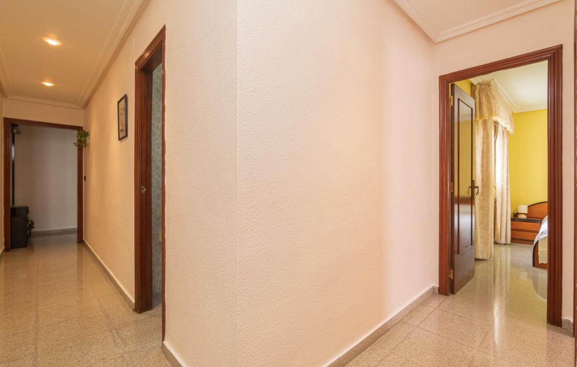 For Sale -  - Elche - Toscar