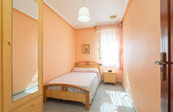 For Sale -  - Elche - Toscar