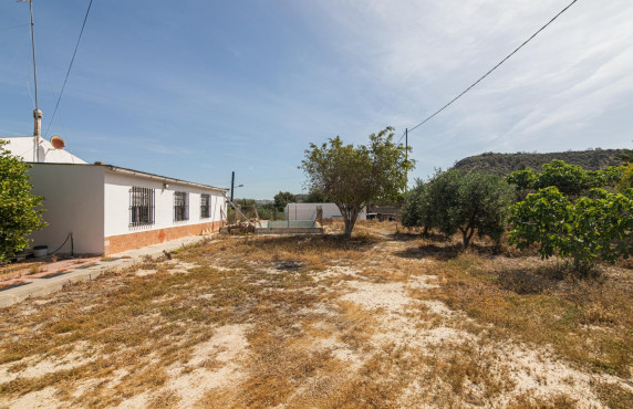 For Sale - Casa de campo - Elche - Carrus