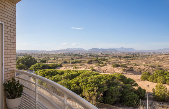For Sale -  - Arenales del sol - Zona paseo maritimo