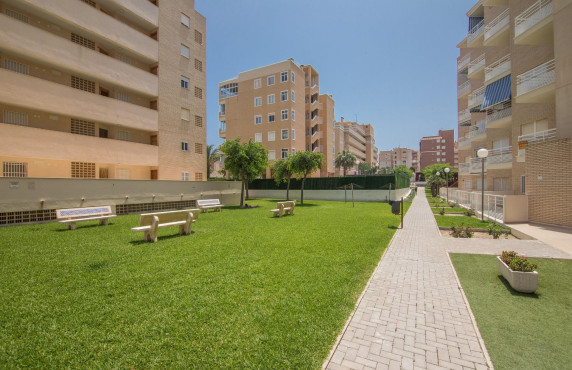 For Sale -  - Arenales del sol - Zona paseo maritimo
