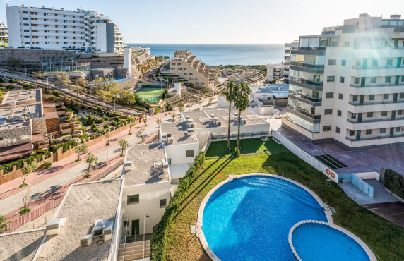 For Sale - penthouse - Arenales del sol - Arenales del Sol