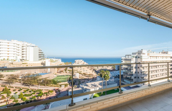 For Sale - penthouse - Arenales del sol - Arenales del Sol