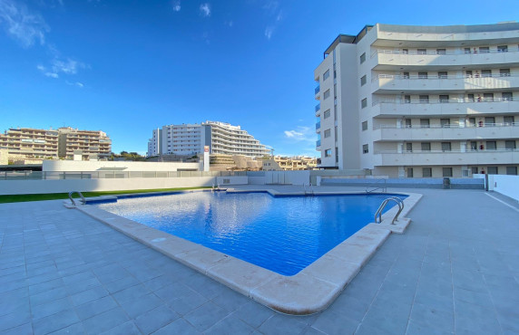 For Sale - penthouse - Arenales del sol - Arenales del Sol