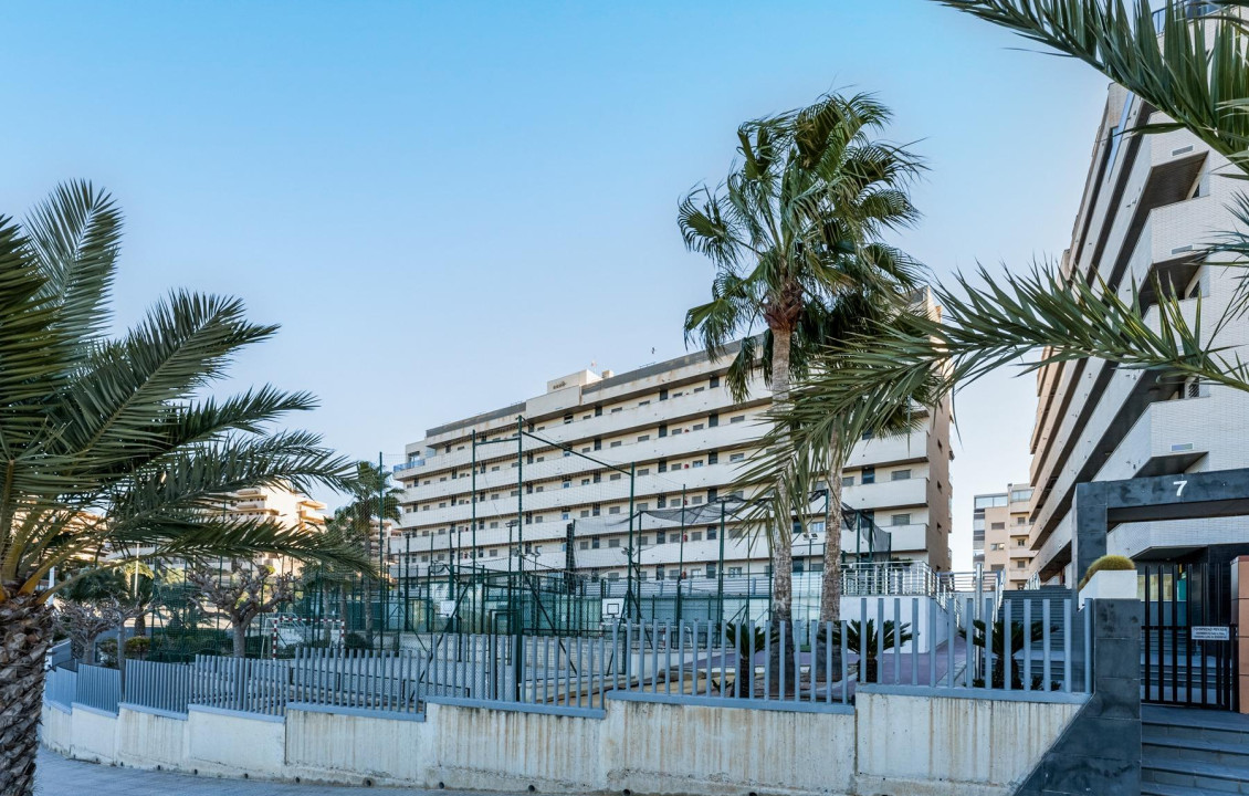 For Sale - penthouse - Arenales del sol - Arenales del Sol
