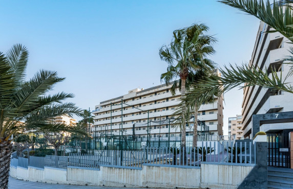 For Sale - penthouse - Arenales del sol - Arenales del Sol