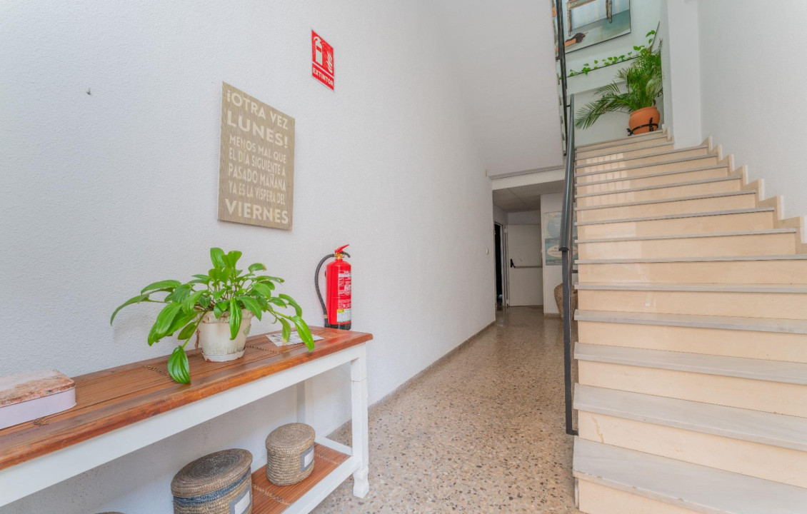 For Sale -  - Elche - Carrus