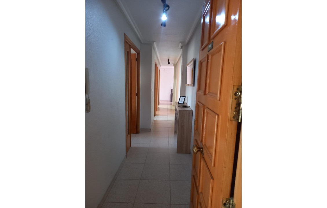 Long Rental Period - Flat - Elche - Sector V-El Canal