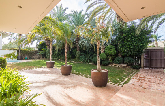 For Sale -  - Elche - Altabix