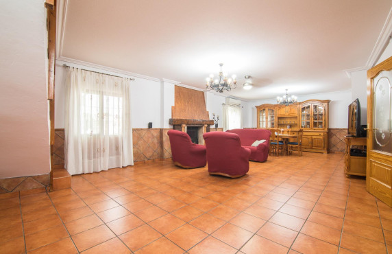 For Sale -  - Elche - Poligono carrus
