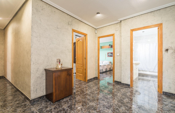 For Sale -  - Elche - Poligono carrus