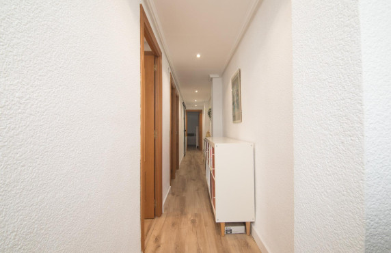 For Sale -  - Elche - Reina Victoria-Miguel Hernández