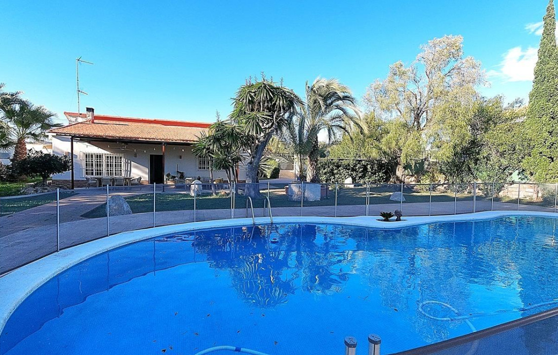 For Sale -  - Elche - Peña Aguilas