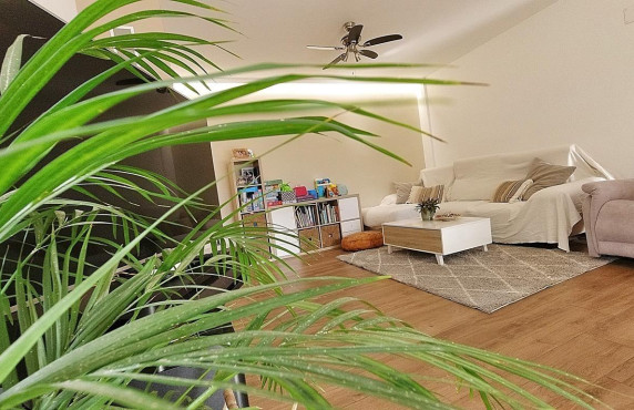 For Sale -  - Elche - Peña Aguilas