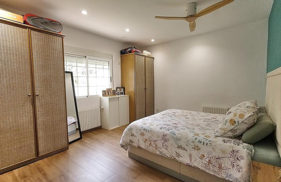For Sale -  - Elche - Peña Aguilas