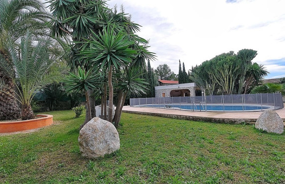 For Sale -  - Elche - Peña Aguilas