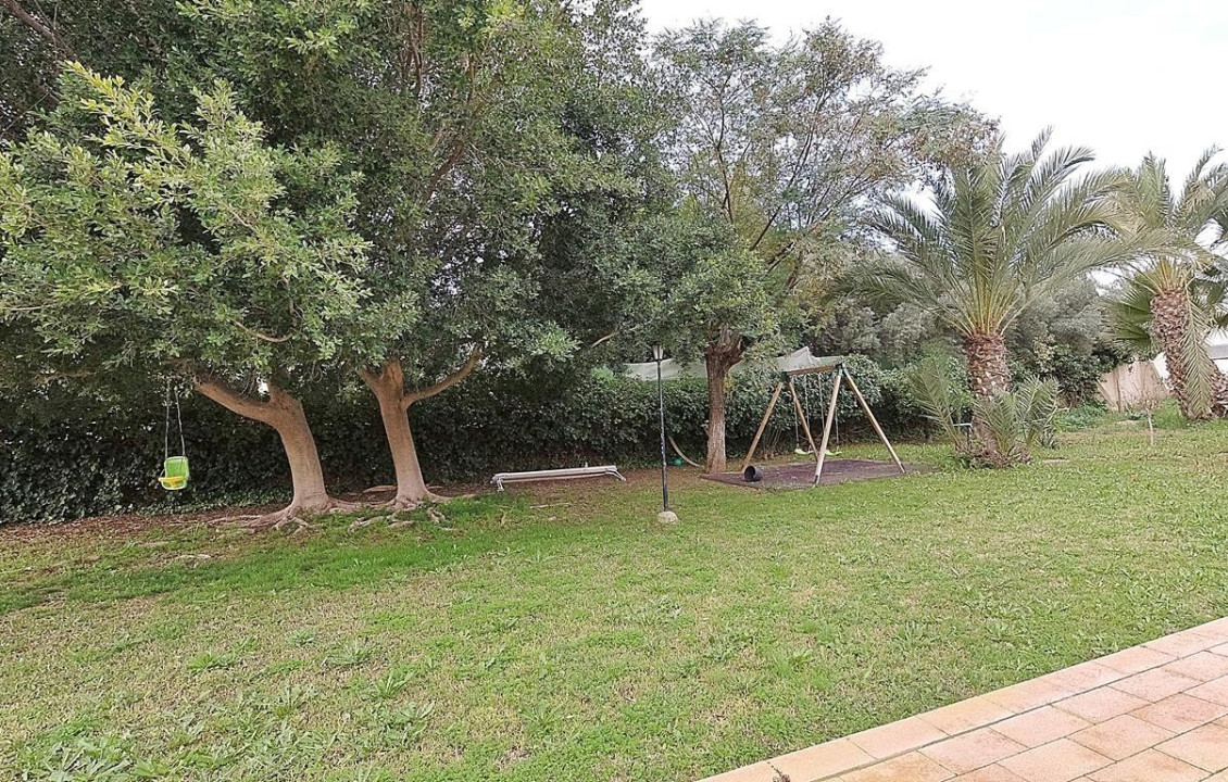 For Sale -  - Elche - Peña Aguilas