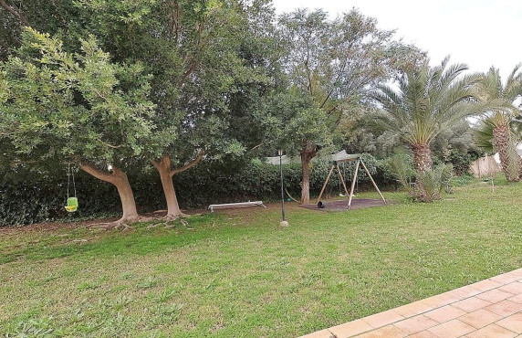 For Sale -  - Elche - Peña Aguilas