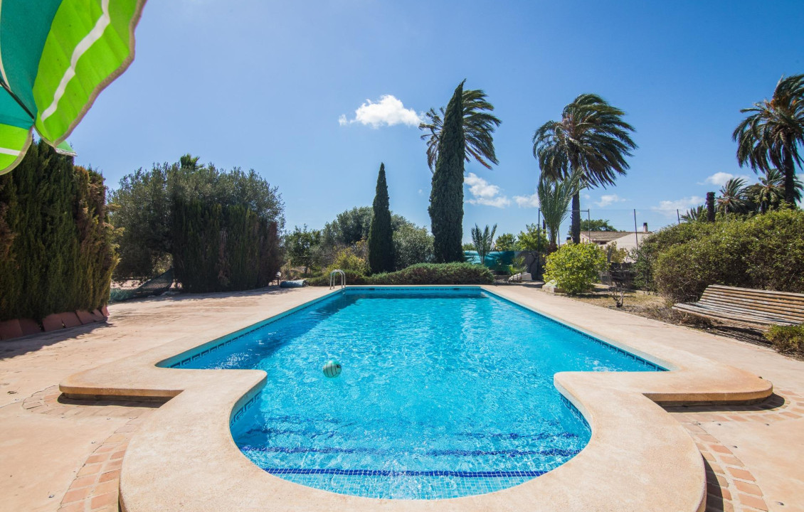 For Sale -  - Elche - Elche / Elx